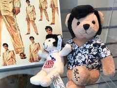 -济州岛泰迪熊博物馆