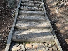 -上海佘山国家森林公园天马山园