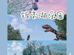 -南京银杏湖乐园