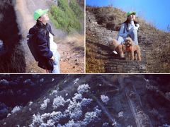 -蟠龙山长城景区