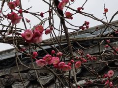 -川北道署