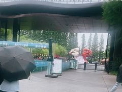 -黄海国家森林公园