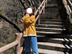 -牛背梁国家森林公园