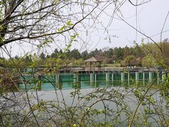 -鄱阳湖国家湿地公园
