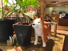 -柴务处·柴犬主题狗咖