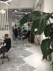 -CHIC 国潮男士发型