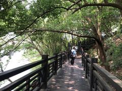 -白马涧龙池景区