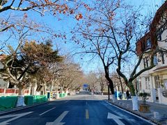 -青岛海滨风景区