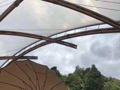 -怀托摩萤火虫洞