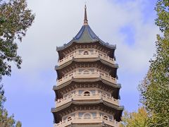 -灵谷景区