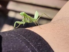 -北京西山国家森林公园