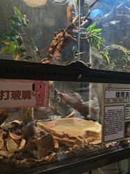 -Zoolung Zoolung动物主题公园(海信广场店)