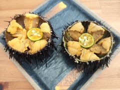 -海胆小馆(东北水饺·春柳店)