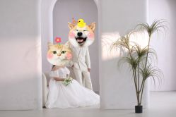 -金夫人婚纱摄影(华南店)