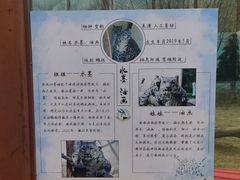 -青藏高原野生动物园
