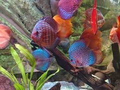 -上海海洋水族馆