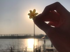 -绿堤公园