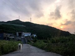 -枸杞岛