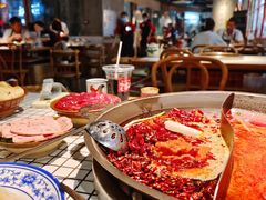 -董眼镜火锅(洪崖洞总店)