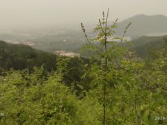 -十三陵水库