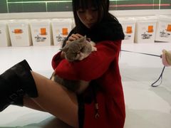 -东浩兰生上海世博展览馆