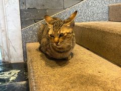 -南园酒家(前进路店)