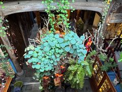 -普洱茶府(博乐广场店)