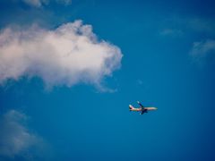 -白鹭湾湿地公园