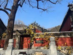 -潭柘寺景区