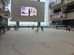 -冰纷万象滑冰场(二七万象城店)