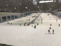 -绍兴启迪乔波冰雪世界
