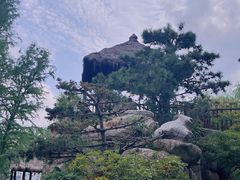 -东平国家森林公园