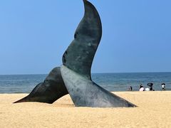 -烟台金沙滩海滨公园