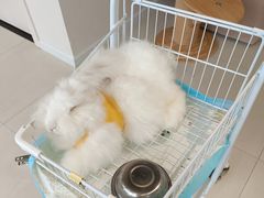 -怪兽屋·羊驼·猫咖·狗咖(俊华广场店)