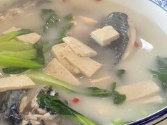 -千岛湖东南湖区