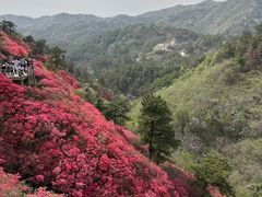 -木兰云雾山