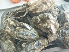 -渔民船说·北塘海鲜·天津菜·海肠捞饭(北塘古镇店)