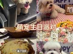 -百好乐宠物友好餐厅(朝外大街店)