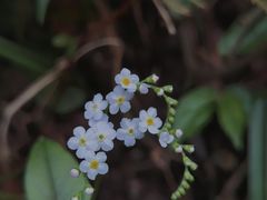 -龙窝子