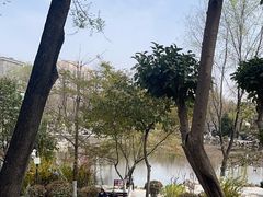 -莲湖公园