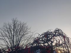 -寒山寺