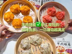 -百彦蒙古包·碳烤羊排·手抓羊肉(万江首店)