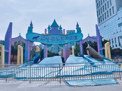 -海合安成都极地海洋公园