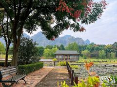 -江西龙虎山景区