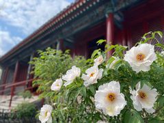 -红螺寺