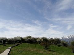 -中华福寿山