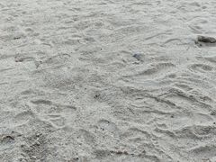 -白城沙滩