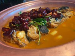 -柿合缘新京菜(国金中心商场店)