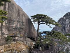 -黄山风景区