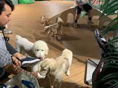 -CowCow其其·牛杂咖啡公司(六运店)